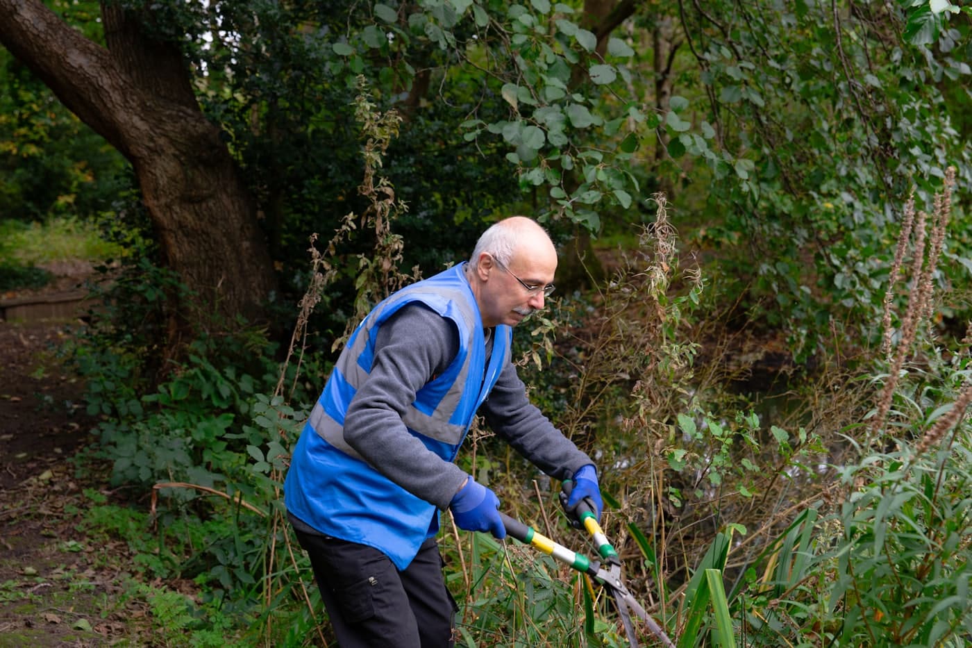 Worker in a hi-vis vest using long-handled shears to trim back overgrowth