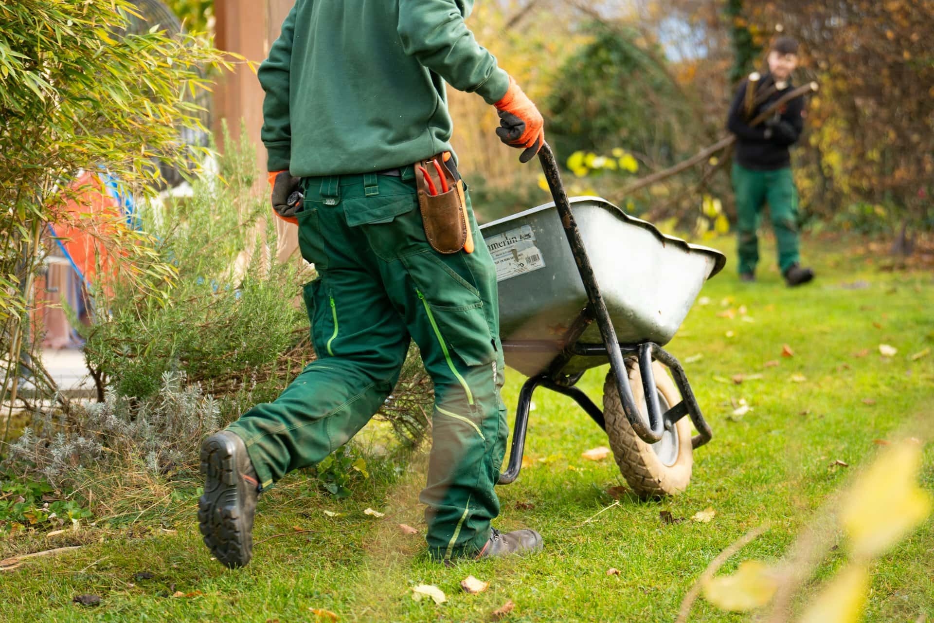 Landscaper pushing a wheelbarrow across a yard while a coworker clears debris in the background