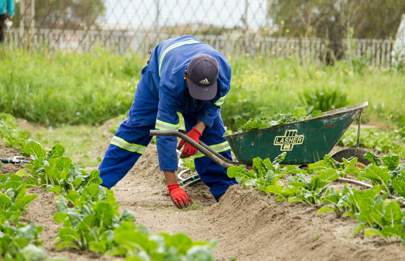 Worker in coveralls and red gloves tending to a garden bed beside a wheelbarrow during routine maintenance